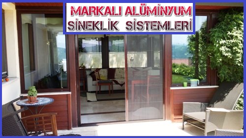 Sineklik Sistemleri